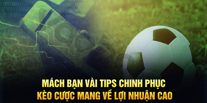 118bet đăng nhập phỏm hàng đầu
