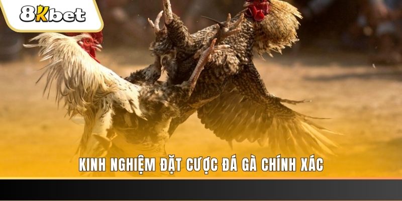 118bet xổ số thứ bảy hàng tuần