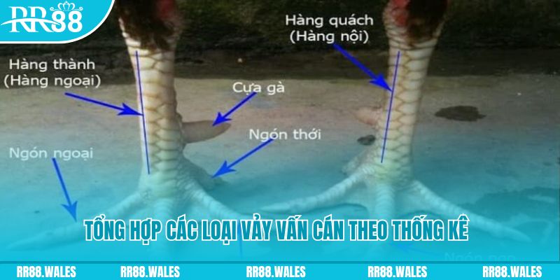 118bet casino hồ tràm có cho người việt vào không