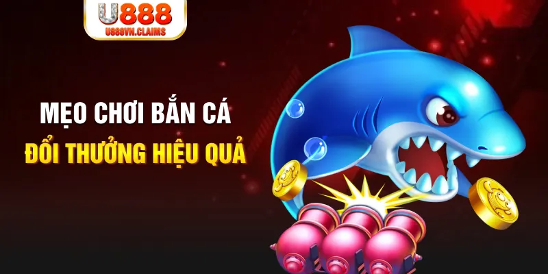118bet gà chọi cam ranh