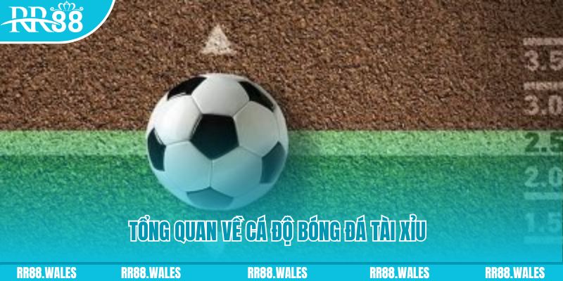 118bet đăng nhập roulette online