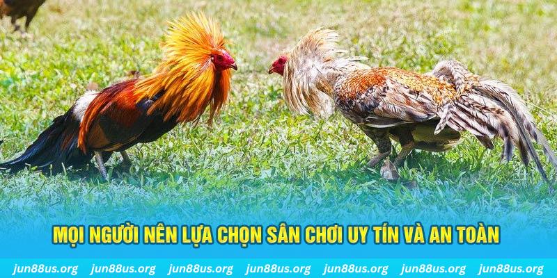 118bet Cỡ bảy
