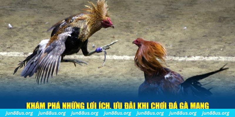 118bet đăng nhập liêng live