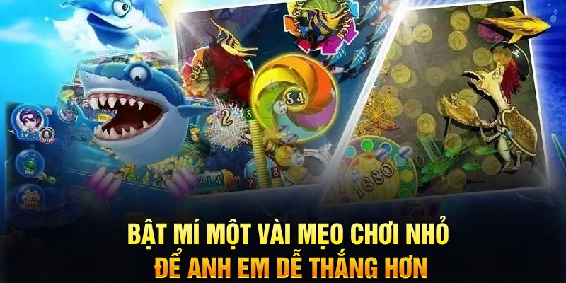 118bet xổ số thứ ba