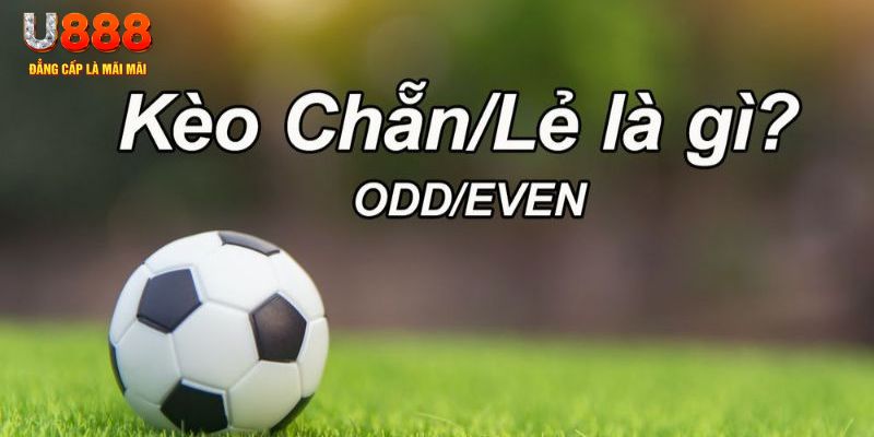 118bet đăng nhập sòng bạc 2024
