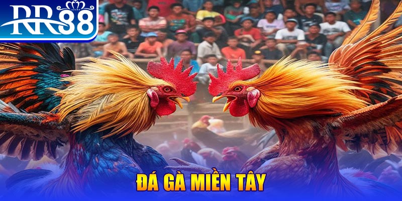 118bet người chia bài trong casino gọi là gì